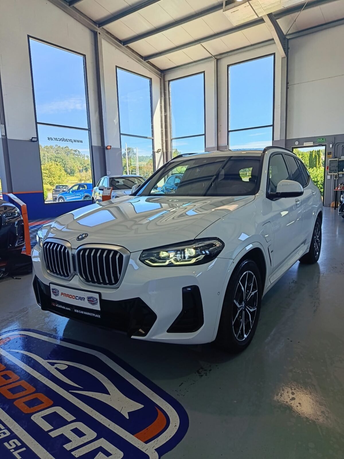 BMW X3 xDrive30e xLine